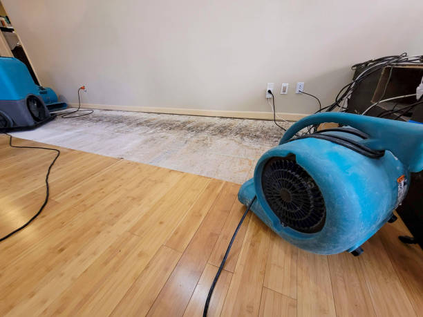 Professional Basement Flood Cleanup technician working in Muldoon, TX